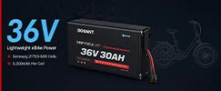 36V Ebike Battery Packs