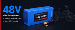 48V Ebike Battery Packs