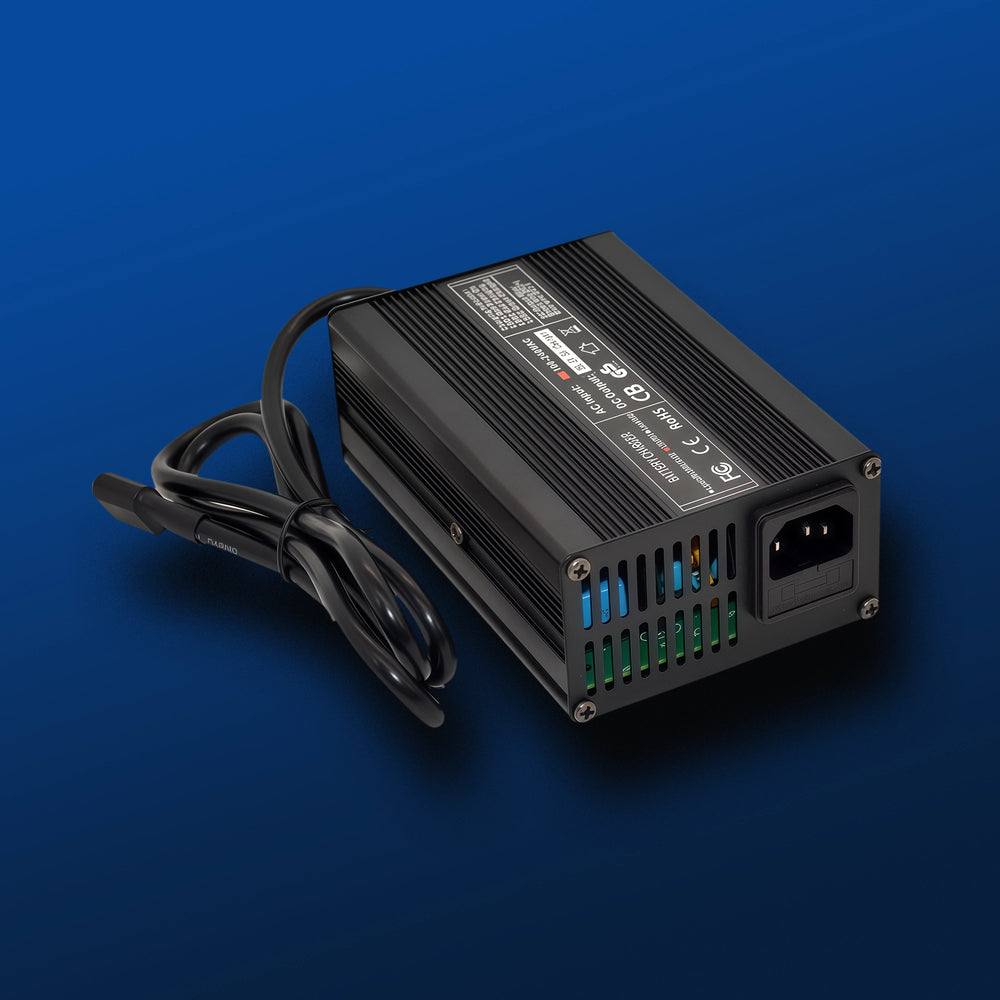 29.2V 5A LiFePO4 Battery Charger with AC Power Cord for 24V Lithium Iron Phosphate Batteries