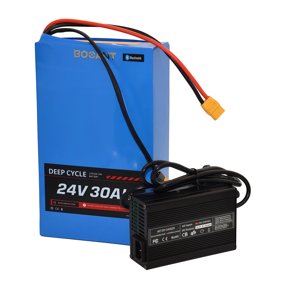 BOOANT 24V 30Ah LiFePO4 Battery Pack with Bluetooth BMS and 29.2V 5A Smart Charger