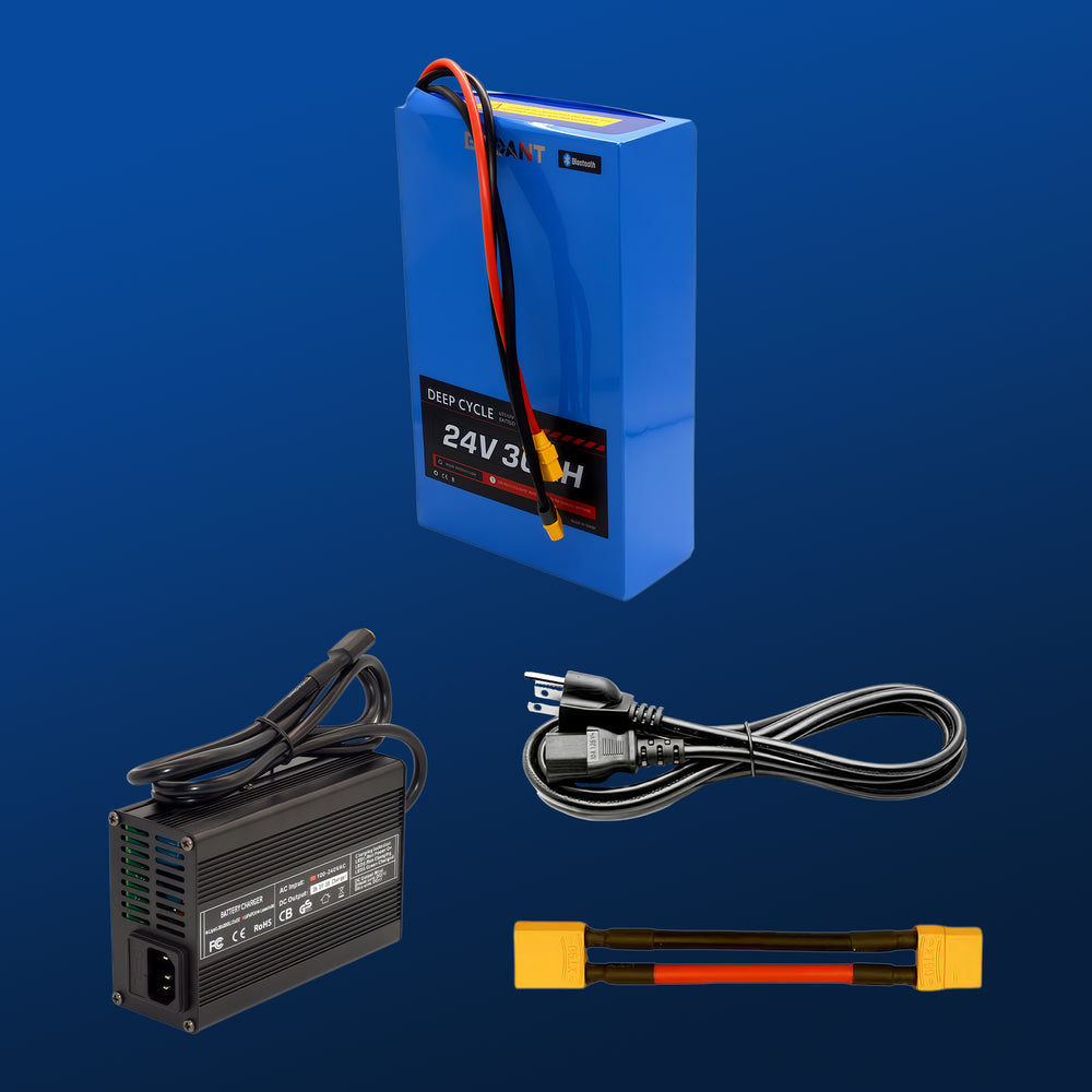 Complete package contents for 24V 30AH  LiFePO4 battery kit: battery pack, 29.2V 5A smart charger, power cable, and discharge extension cable.