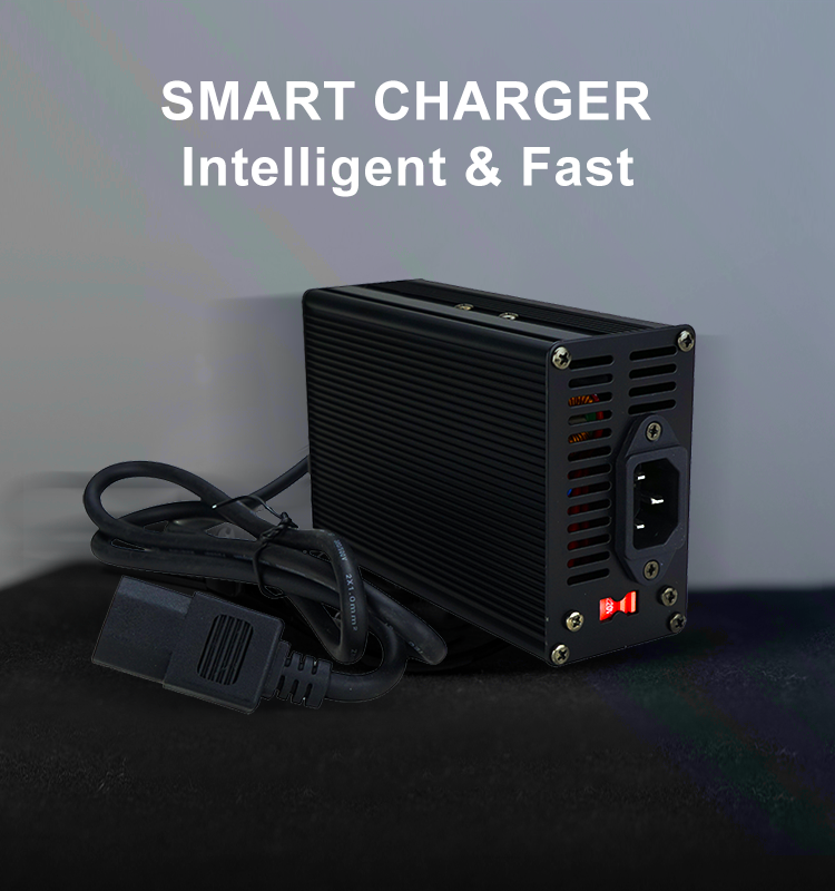 24V 60AH LiFePO4 Battery SMART CHARGER, Intelligent & Faster, Charging Output: 29.2V 10A.