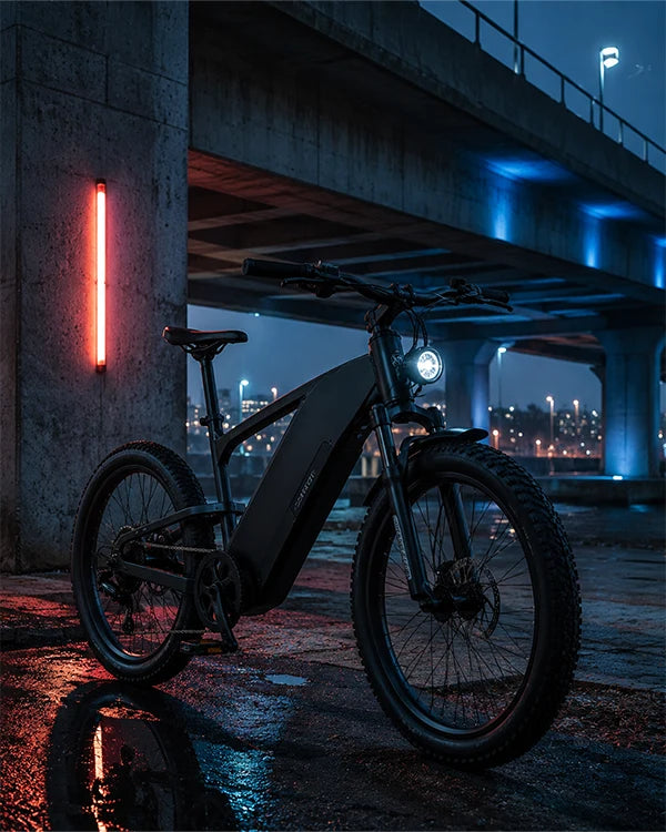Daily Commute & eBikes