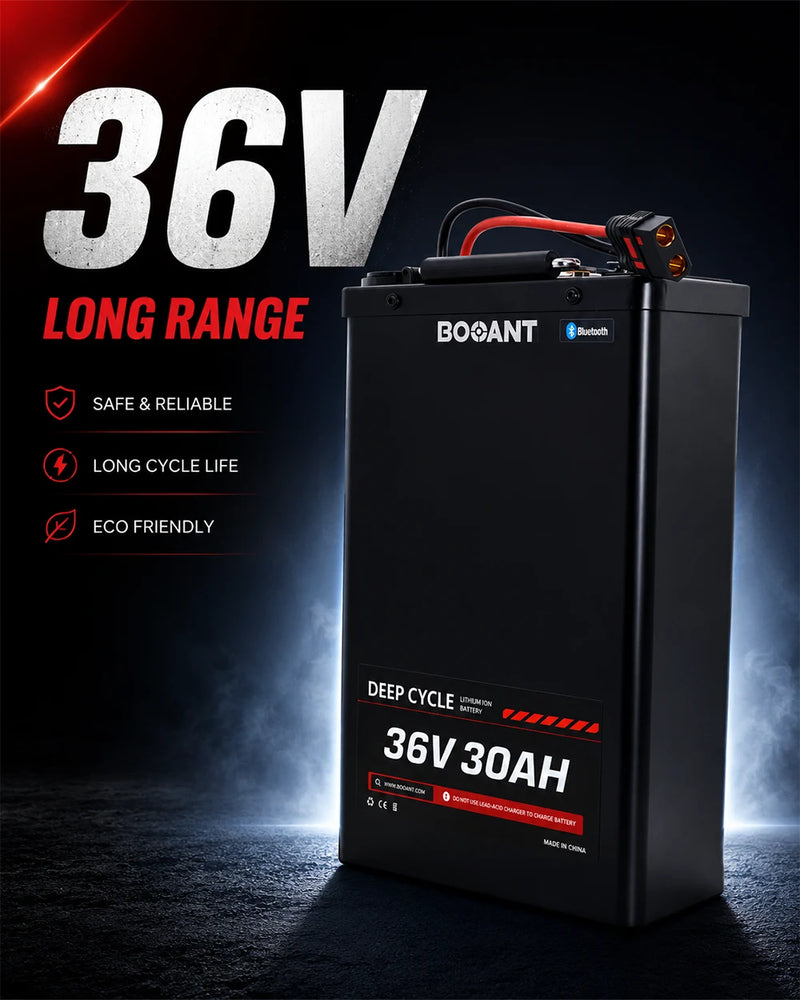 36V Ebike Battery Packs