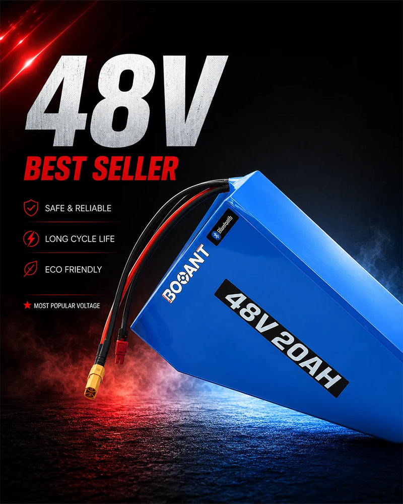 48V Ebike Battery Packs