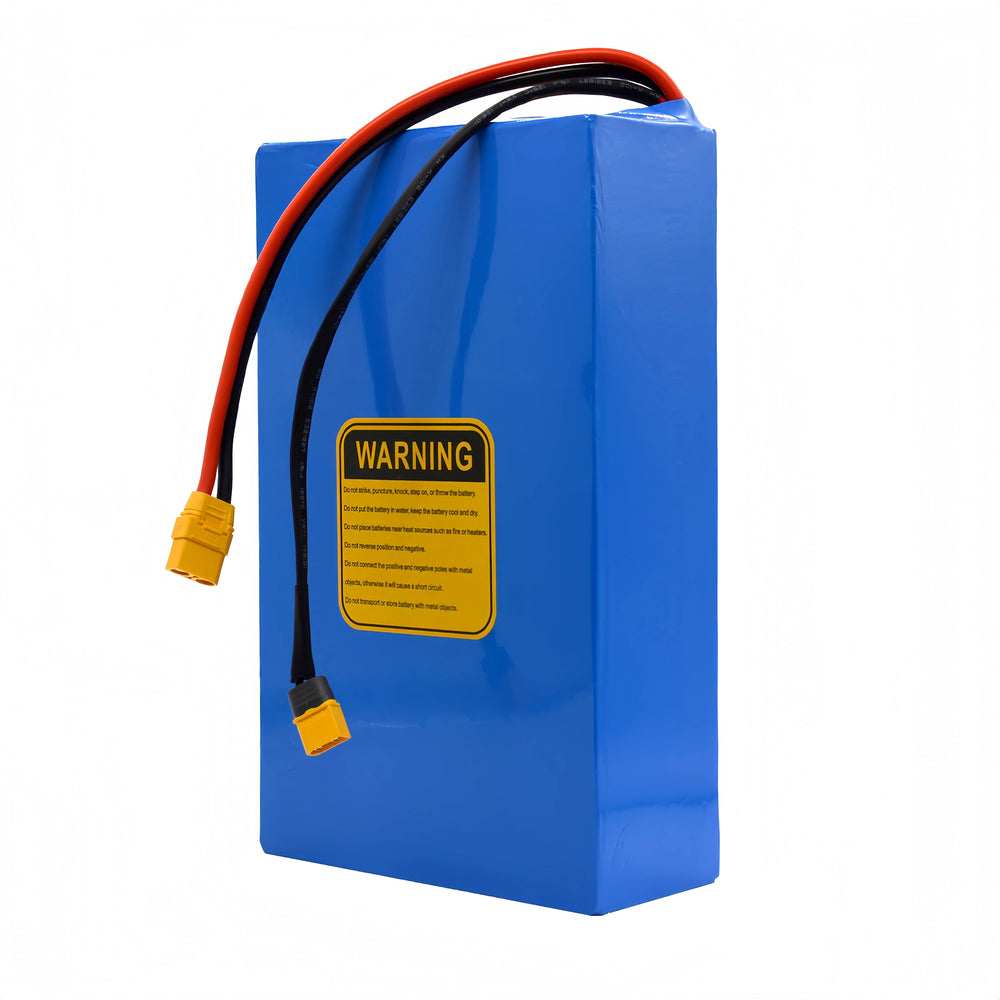 Rear View of BOOANT 24V 30Ah LiFePO4 Battery Pack with XT90 Connectors and Safety Label
