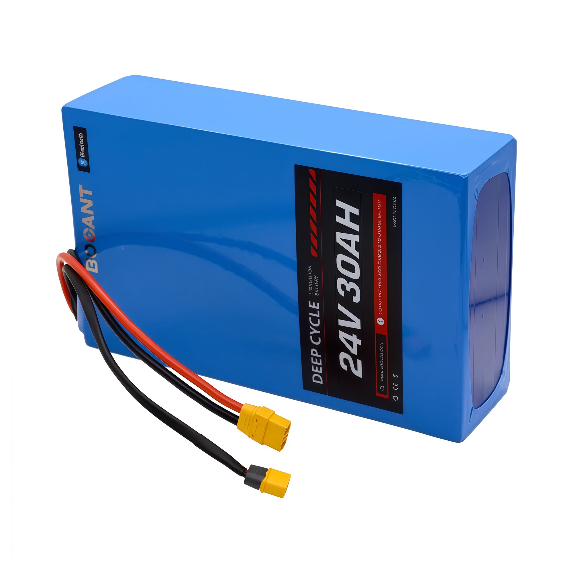 Side view of 24V LiFePO4 battery with specifications label.
