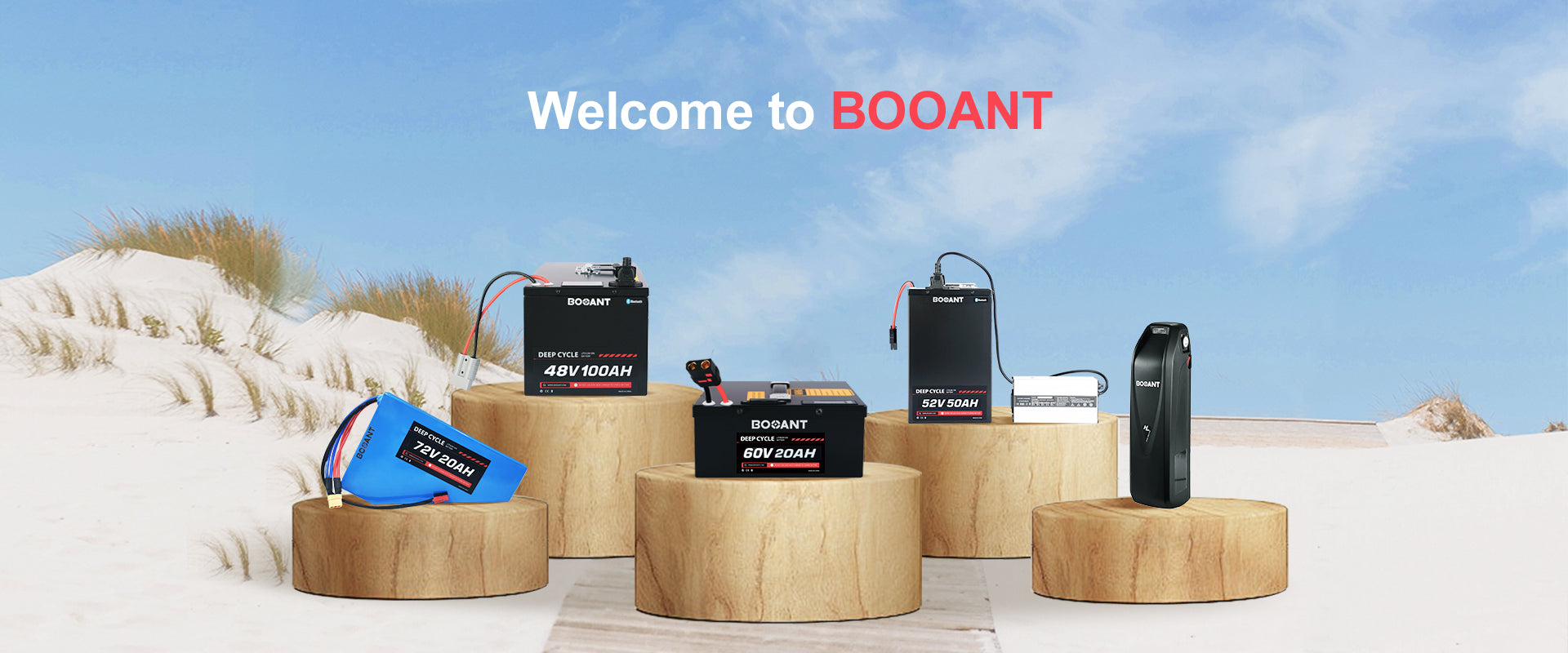 BOOANT lithium battery 48V 72V 60V 52V 24V