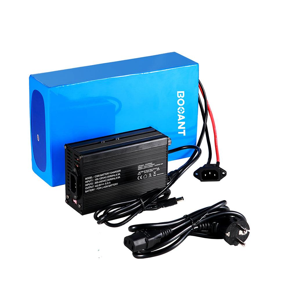 electric motorcycle battery with charger