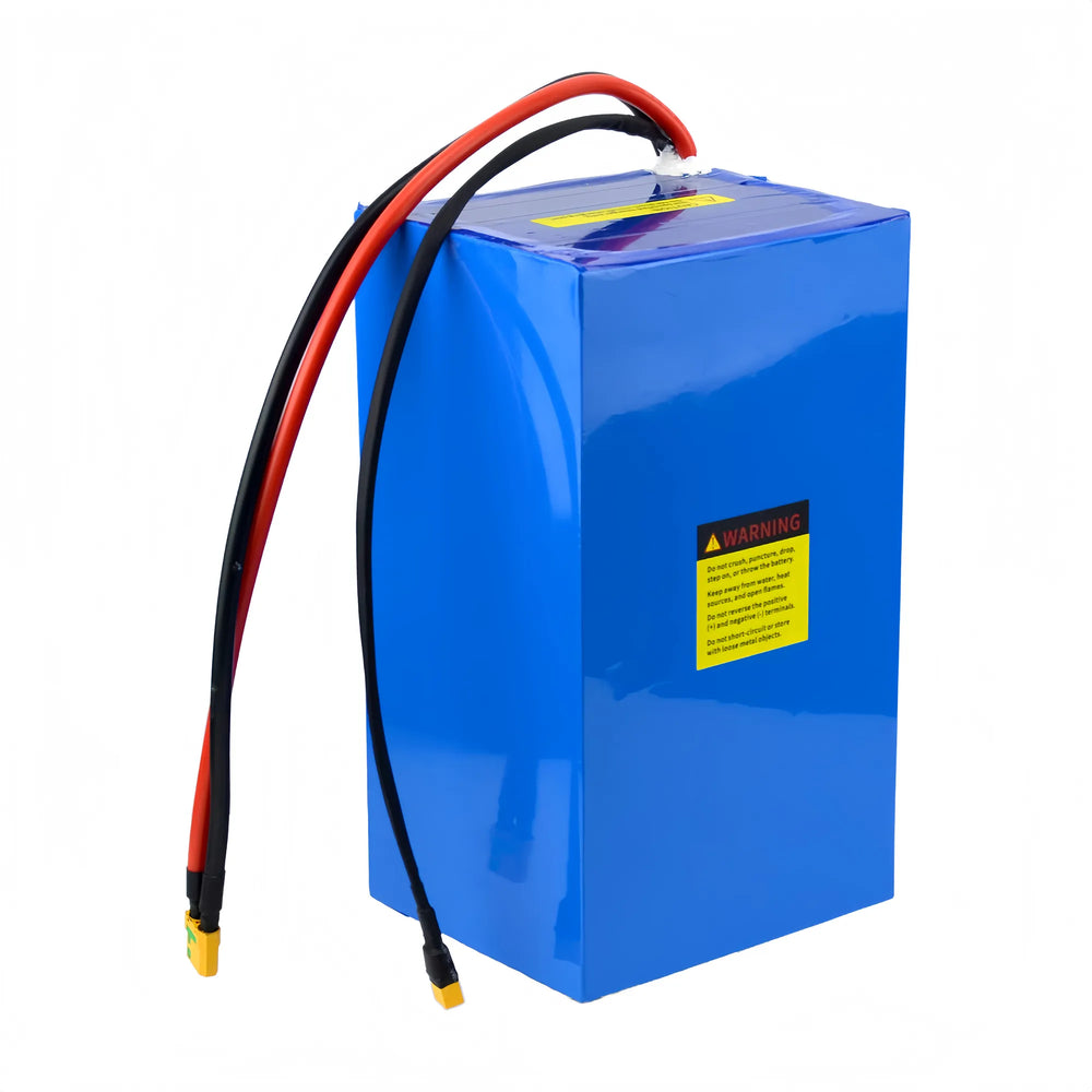 Rear view of BOOANT 24V 60Ah marine LiFePO4 battery in blue casing, showing yellow warning label, safety guidelines, and heavy-duty leads.