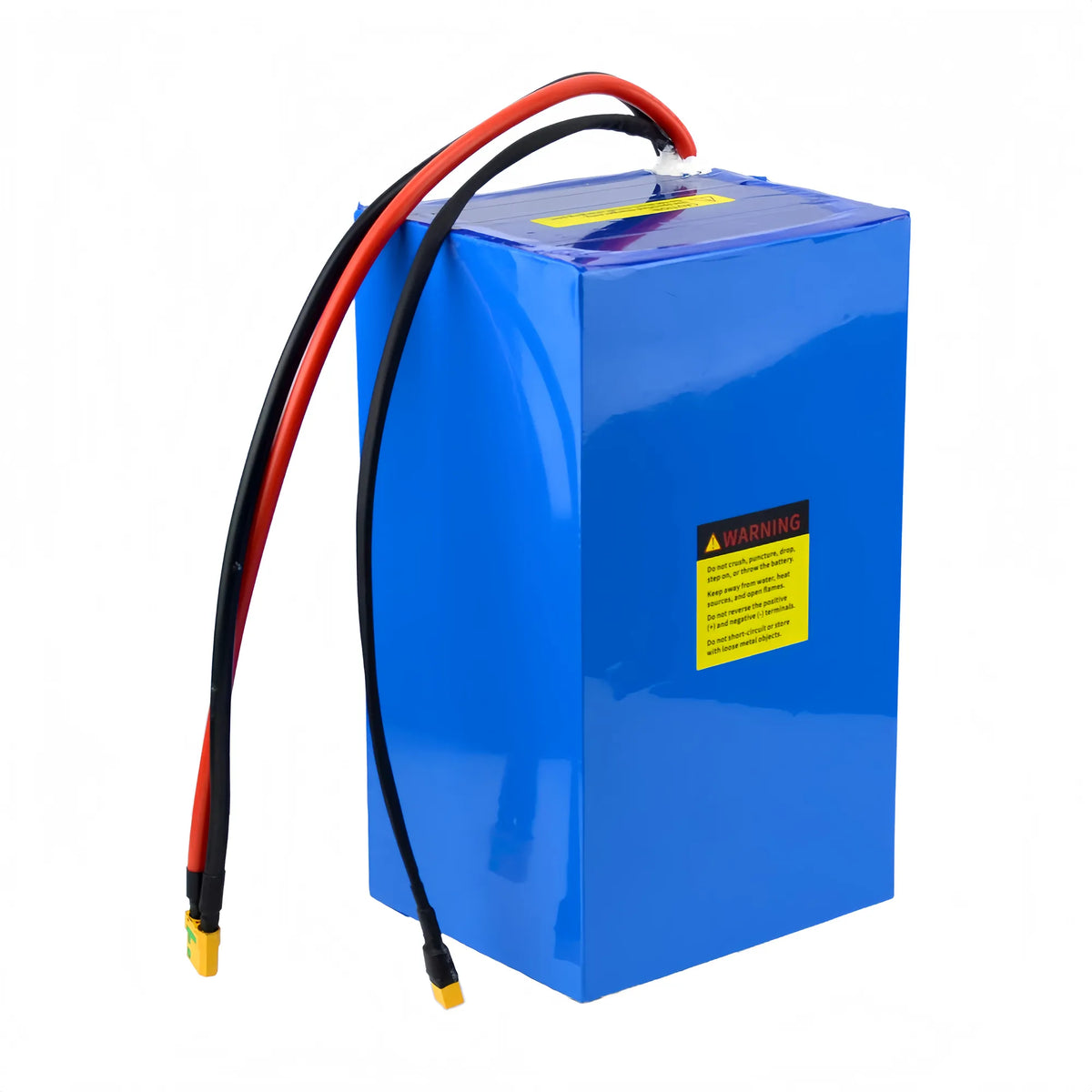 Rear view of BOOANT 24V 60Ah marine LiFePO4 battery in blue casing, showing yellow warning label, safety guidelines, and heavy-duty leads.